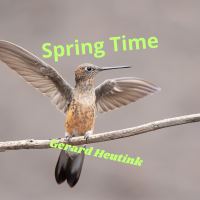 Spring Time